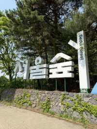 Tulip Time in Seoul Forest Park