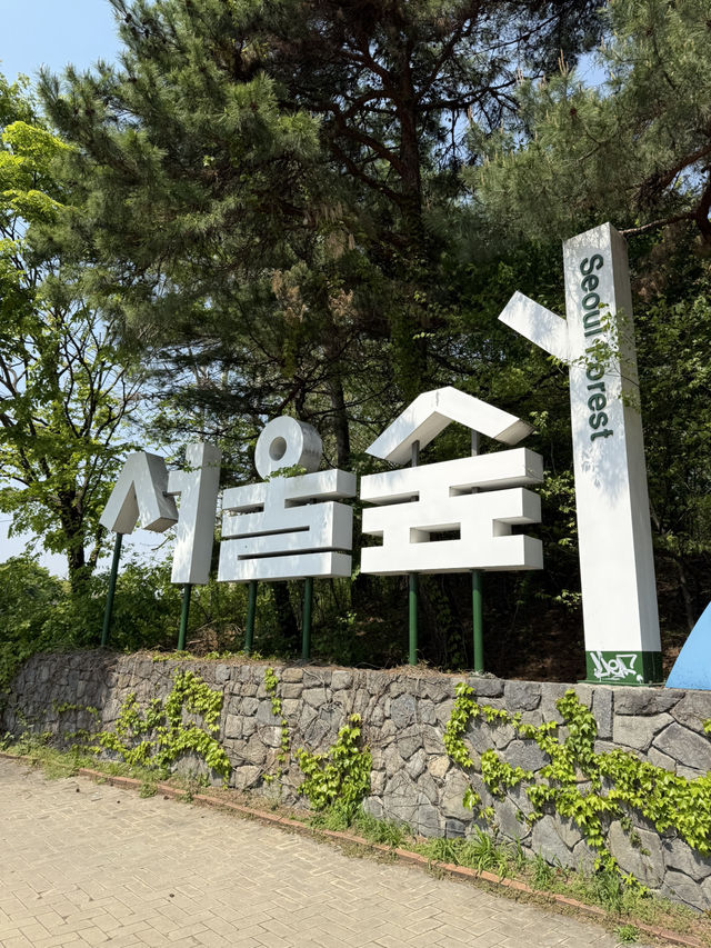 Tulip Time in Seoul Forest Park