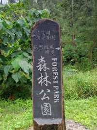 #臺東森林公園-臺東縣臺東市