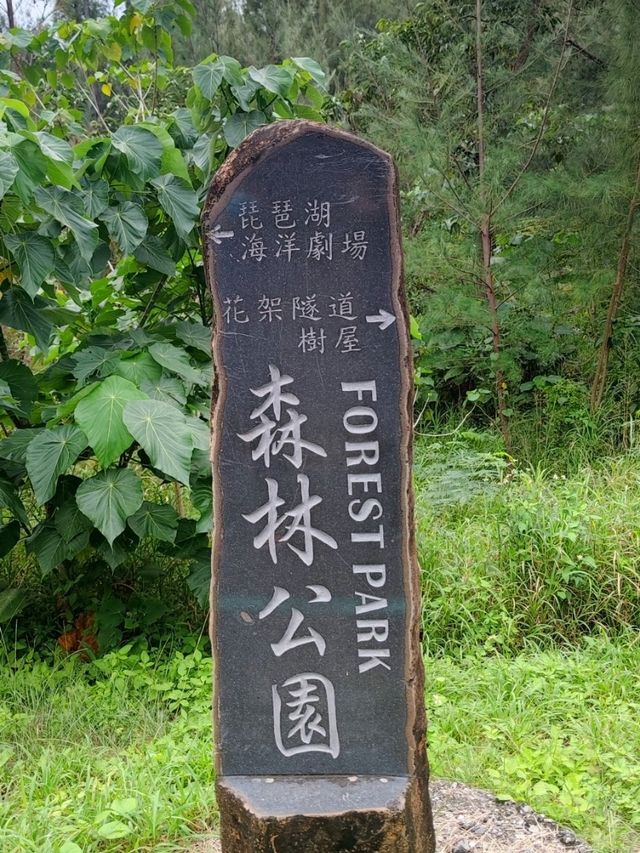 #臺東森林公園-臺東縣臺東市
