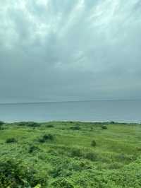 【観光列車】絶景を眺めながらごろごろ。リゾートしらかみの旅。