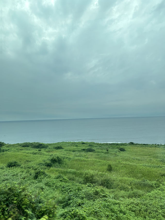 【観光列車】絶景を眺めながらごろごろ。リゾートしらかみの旅。