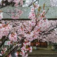 Takato Castle Ruins Park, Nagano