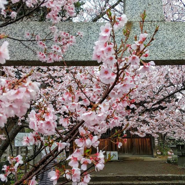 Takato Castle Ruins Park, Nagano
