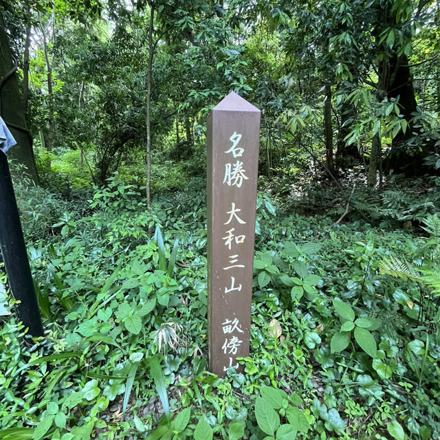 【大和三山と藤原京】⛰️ 世界遺産候補🌎
