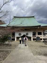 東京充滿招財貓的可愛神社—豪德寺