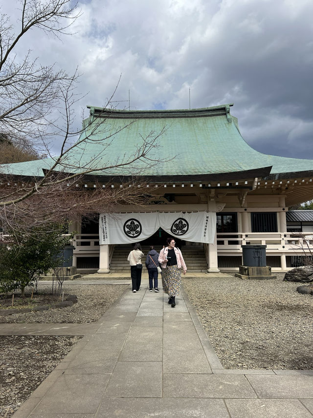 東京充滿招財貓的可愛神社—豪德寺