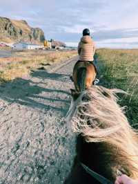 ✨Day 5: From Black Sand Beaches to Reykjavik Streets: A Day of Icelandic Wonders!