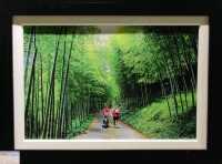 #竹山文化園區-南投縣竹山鎮