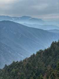 Breathing the Sky: A Calm Escape to Yak Meadow (牦牛坪) on Jade Dragon Snow Mountain