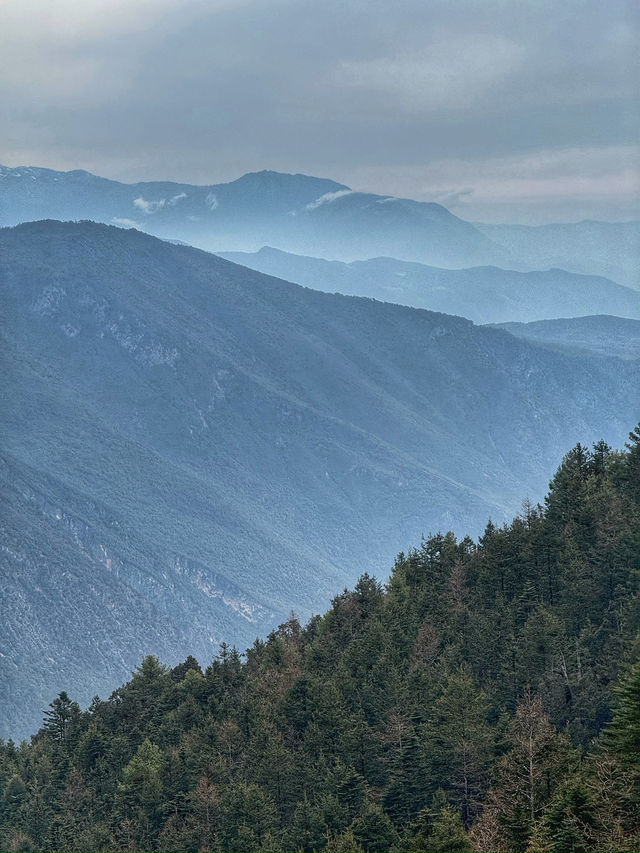 Breathing the Sky: A Calm Escape to Yak Meadow (牦牛坪) on Jade Dragon Snow Mountain