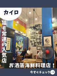 【エジプト女子旅】可愛い猫も遊びに来る！人気のシーフード料理専門店！