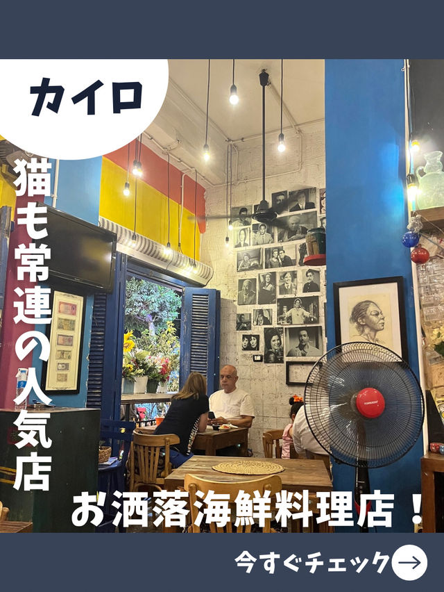 【エジプト女子旅】可愛い猫も遊びに来る！人気のシーフード料理専門店！