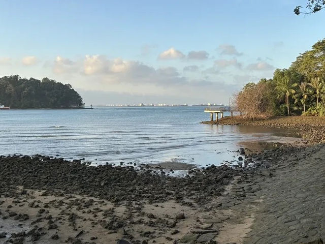 🌿 Labrador Nature Reserve: Where History, Hiking & Hidden Beaches Collide! 🏖️
