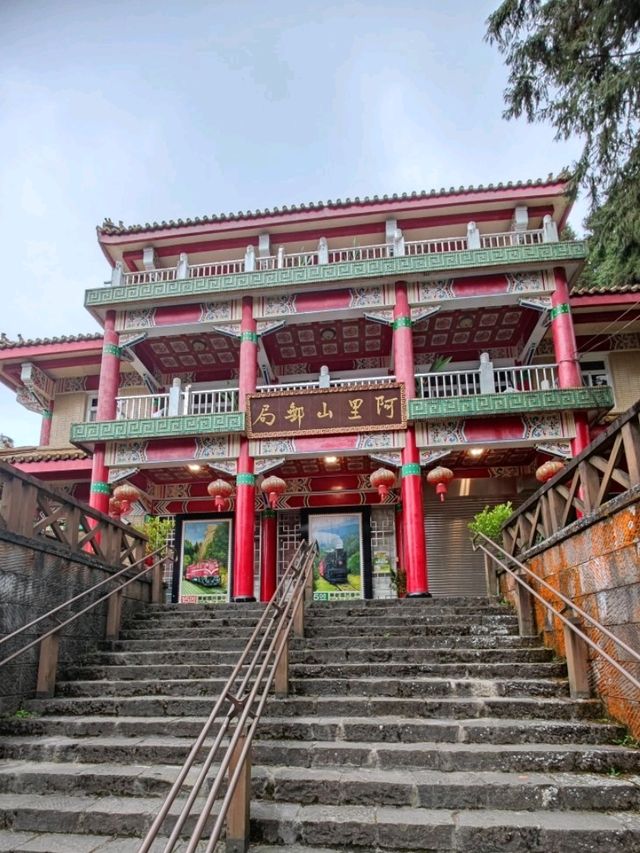 # 阿里山國家森林遊樂區-嘉義縣阿里山鄉