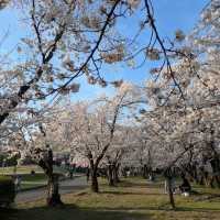 Kawanakajima Battlefield Park, Nagano