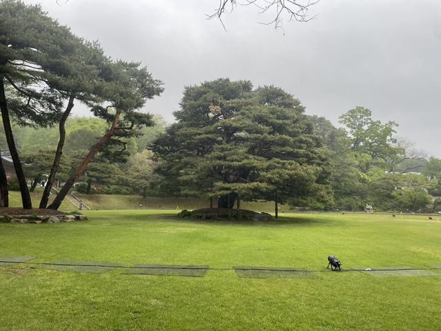 다사다망한 요즘. 가족과 함께 영욕의 청와대 속으로