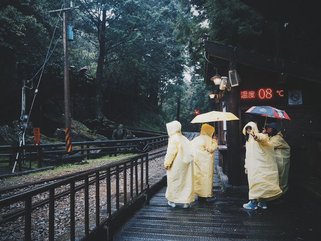 นั่งรถไฟโบราณ ชมป่าสนพันปีที่อาลีซาน ไต้หวัน 🌲🚂