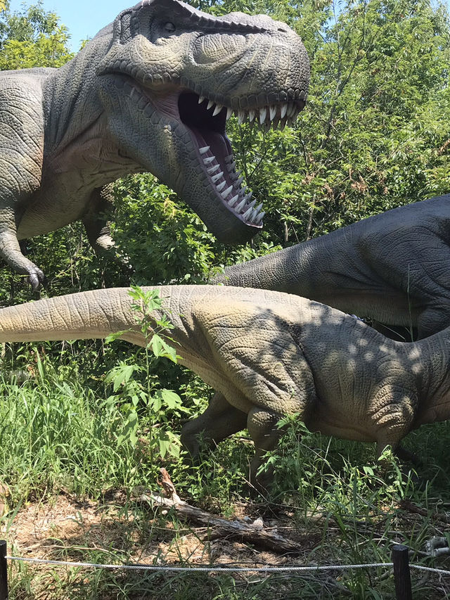 福井県立恐竜博物館はこんなとこ！