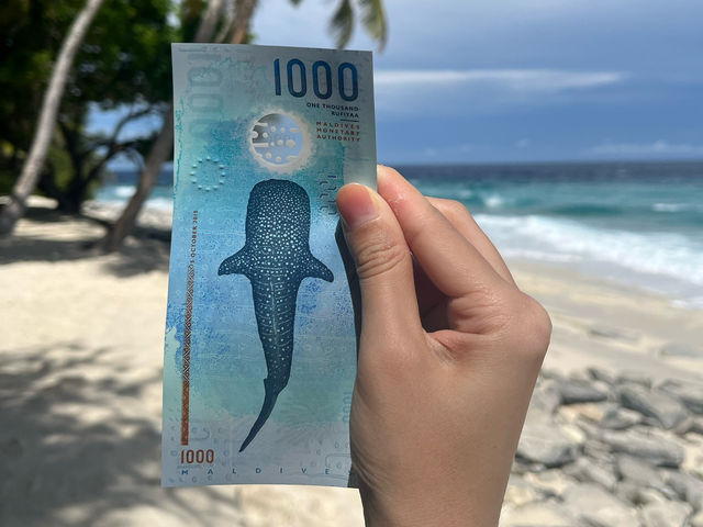 Fuvahmulah - the best local island in Maldives 🇲🇻
