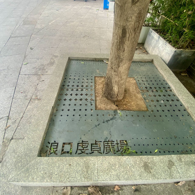 探秘歷史建築與城市風光之美✨深圳龍華大浪日遊⛪️🌴🌊 🛍️