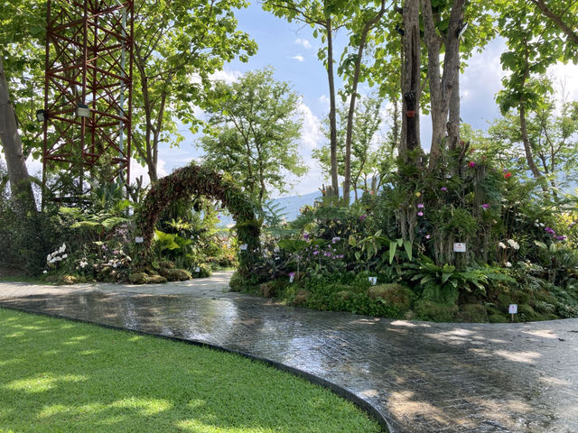 ฟ้าหลังฝนบรรยากาศชิลที่ “สวน อบจ.เชียงใหม่”
