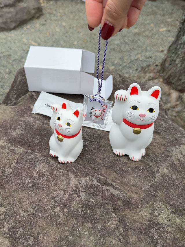 東京六日遊5/4第五天豪德寺喵喵廟