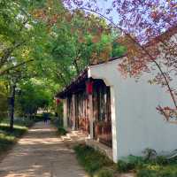 🌳運糧鄰畔公園🌳恬靜之美 🌅