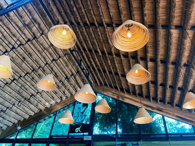 ร้าน YAYO FARM คอกาแฟ - คาเฟ่บนดอยช้าง