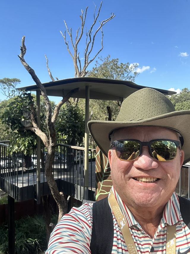 Wildlife Retreat Hotel at Taronga zoo
