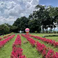 Songkhla Flower Farm สวนดอกไม้แห่งแรกในสงขลา
