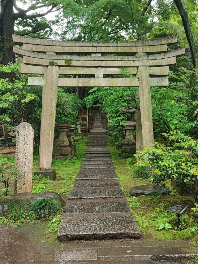 Nezu Museum: Where Art and Nature Flow Seamlessly