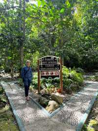 馬來西亞沙巴神山Mt. Kinabalu自由行