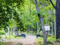 Seongbukdong Forest Bathing Area