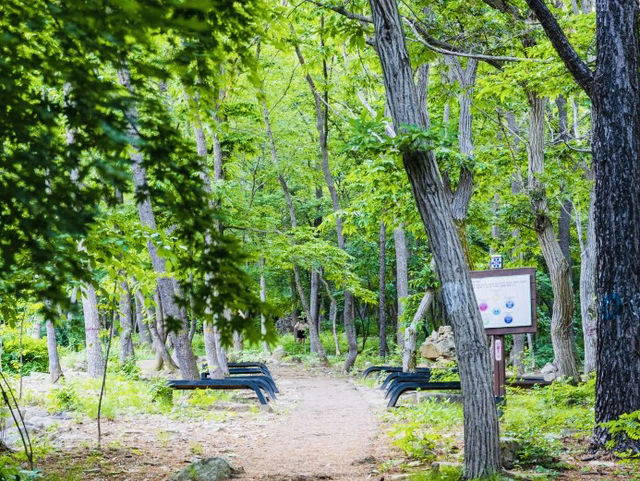 Seongbukdong Forest Bathing Area