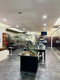 Discover Borneo’s Wonders at the Natural History Museum Kuching