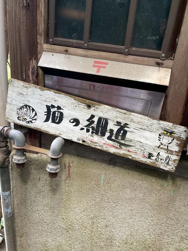 【廣島景點推薦】 尾道半日小旅行｜貓之細道+絕景纜車一次收藏
