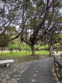 Peaceful City Escape – Sun Yat Sen Memorial Park