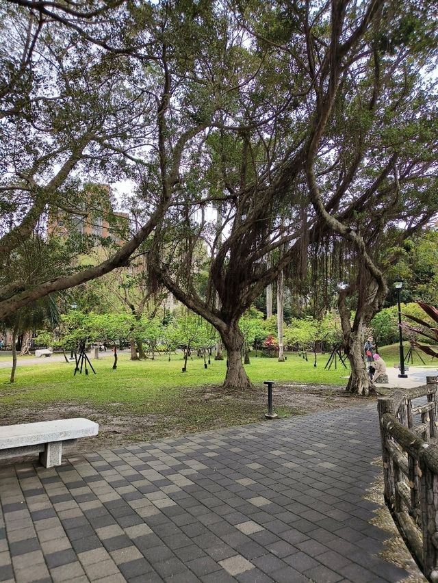 Peaceful City Escape – Sun Yat Sen Memorial Park