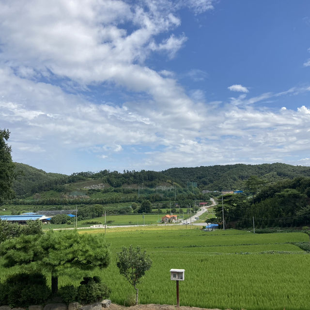 공주 여행 이렇게 가세요 ‼️