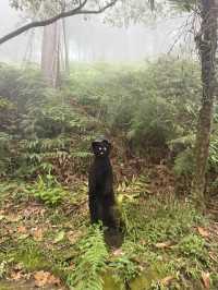 곽튜브가 다녀간 인도네시아 반둥 화산 당일 투어! 