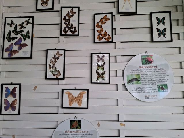 nabi cafe @ kaeng krachan