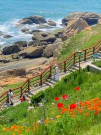 Yan'er Island Park - A Flower-Filled Seaside Paradise 🌸🌊