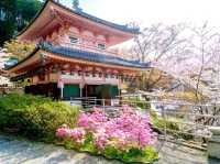 Whispers of the Sacred: A Day with the Deer in Nara