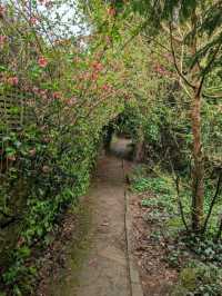 Fletcher Moss Botaical Gardens