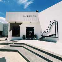 S-Curve Specialty Coffee : คาเฟ่สไตล์มินิมอล