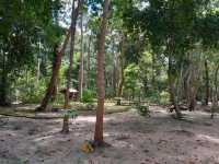 สวนพฤกษศาสตร์บ้านเพ