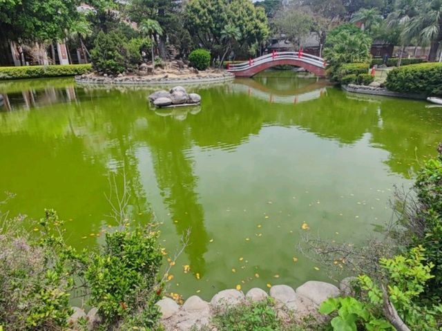 #國立成功大學-台南市東區