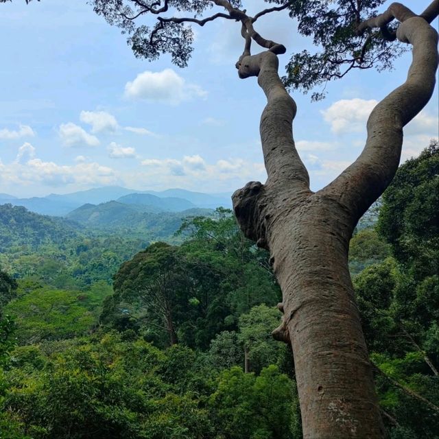 Spring Escape at Hot Spring, Sabah