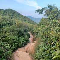 龍脊行山徑（Dragon’s Back Trail）